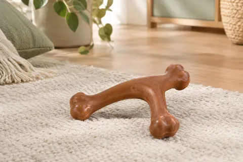 Jouet à mâcher Benebone en nylon, forme Wishbone incurvée et coloris bacon, posé dans un intérieur lumineux.