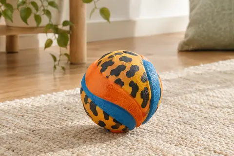 Balle Chuckit multicolore à motif animalier en caoutchouc naturel, posée dans un intérieur lumineux