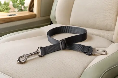 Ceinture de sécurité pour chien en nylon charbon avec mousqueton métallique, posée sur un siège de voiture clair.