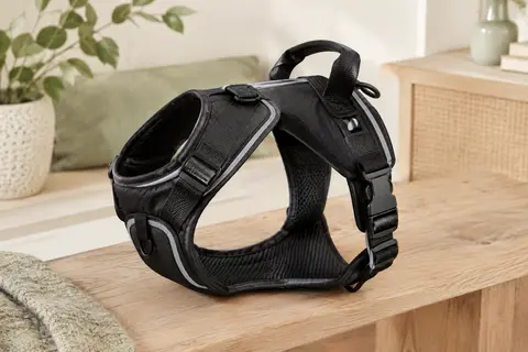 Harnais noir pour chien avec poignée supérieure et éléments réfléchissants, posé dans un intérieur lumineux.