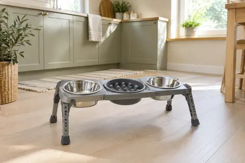 Support gris réglable pour chien avec deux bols inox et un bol anti-glouton dans une cuisine lumineuse.