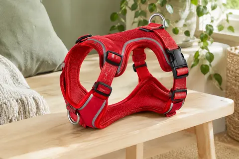 Harnais rouge pour chien avec rembourrage, boucles et deux anneaux d’attache, posé sur du bois clair.